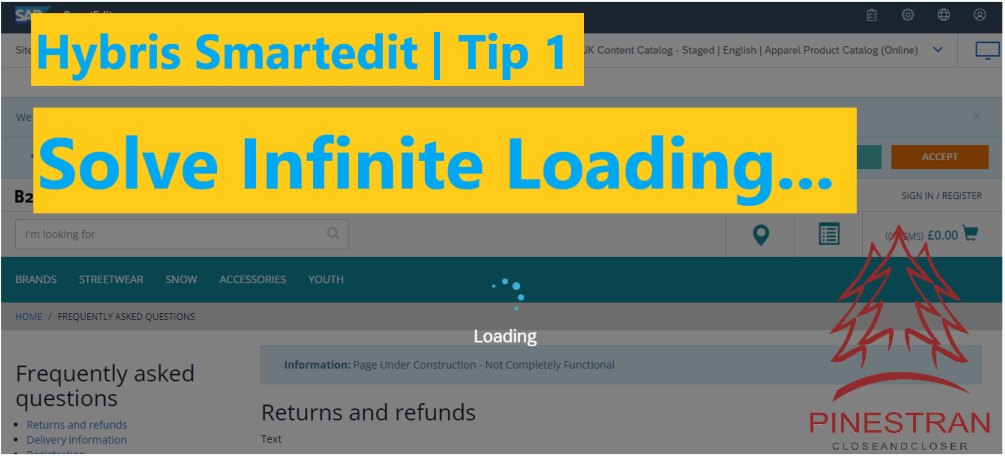 Smartedit infinite loading